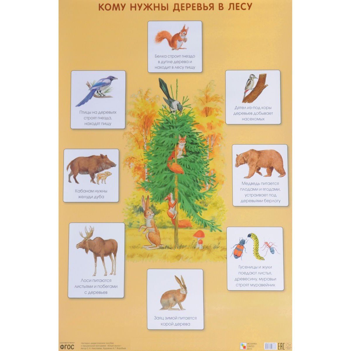 Плакат кому нужны деревья в лесу