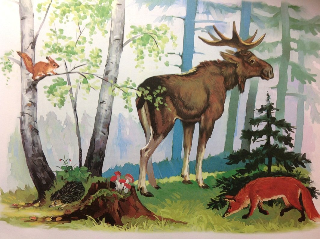 Larsen fh17 - Европейский лес