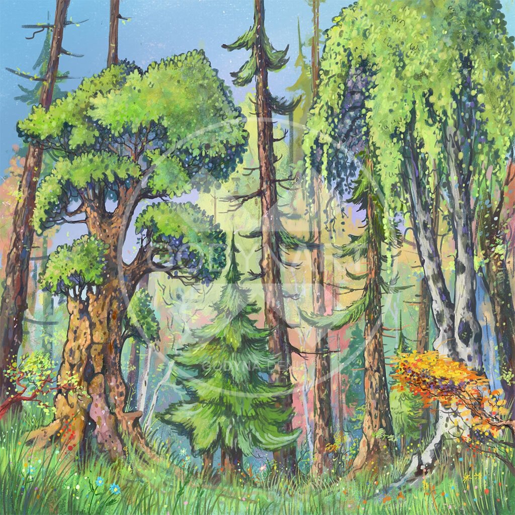 Картинка этажи леса для дошкольников