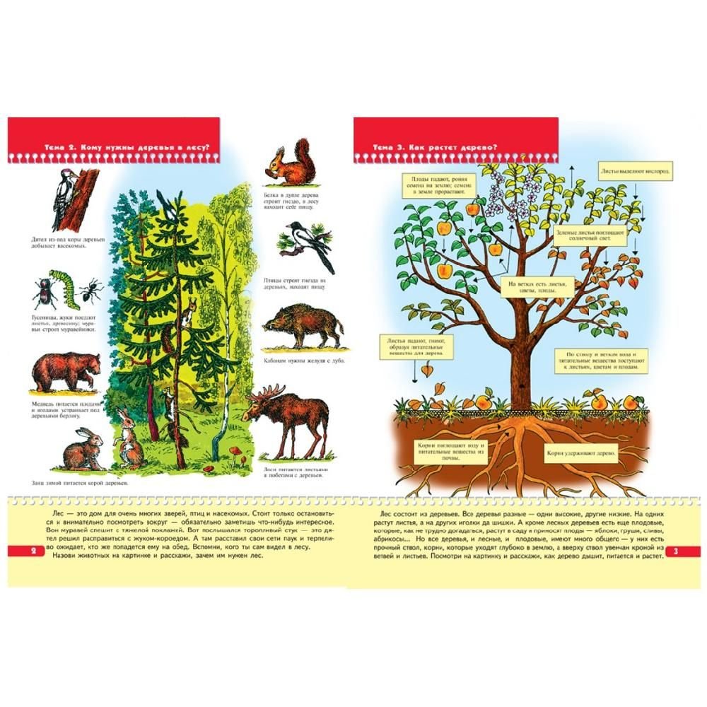 Рисунки на тему Лесные жители