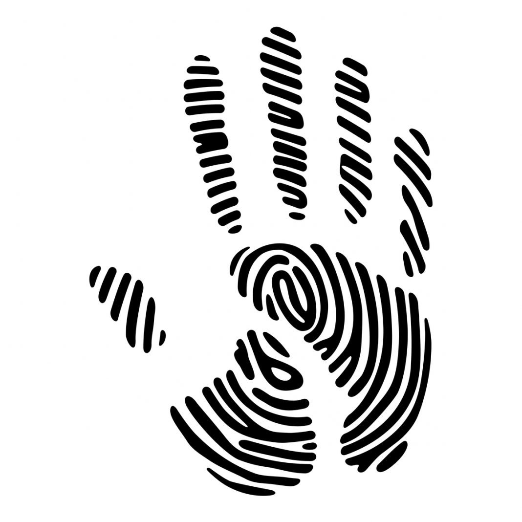 Отпечаток детской ладошки