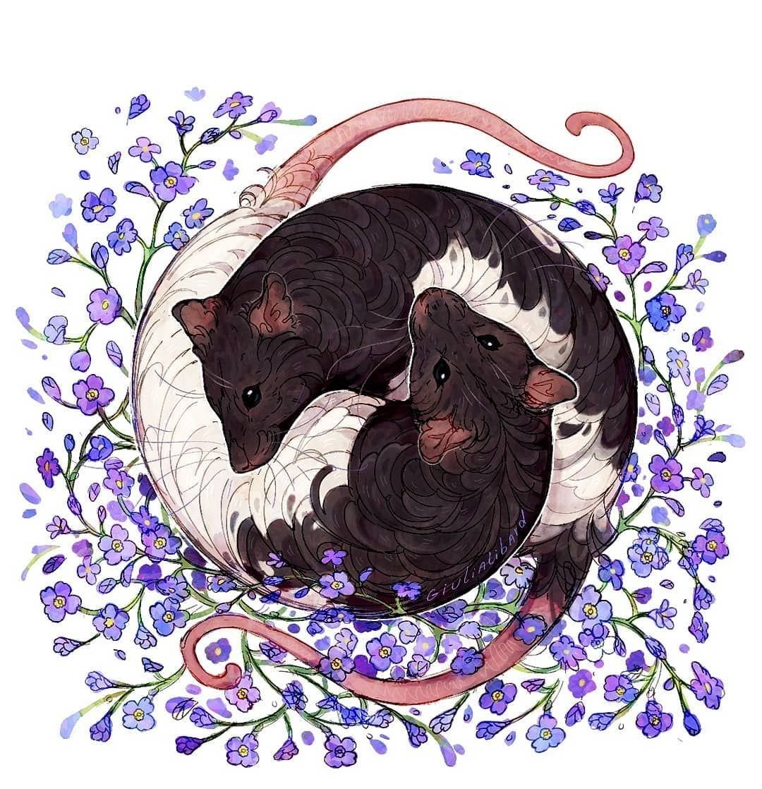 Крыса рисунок