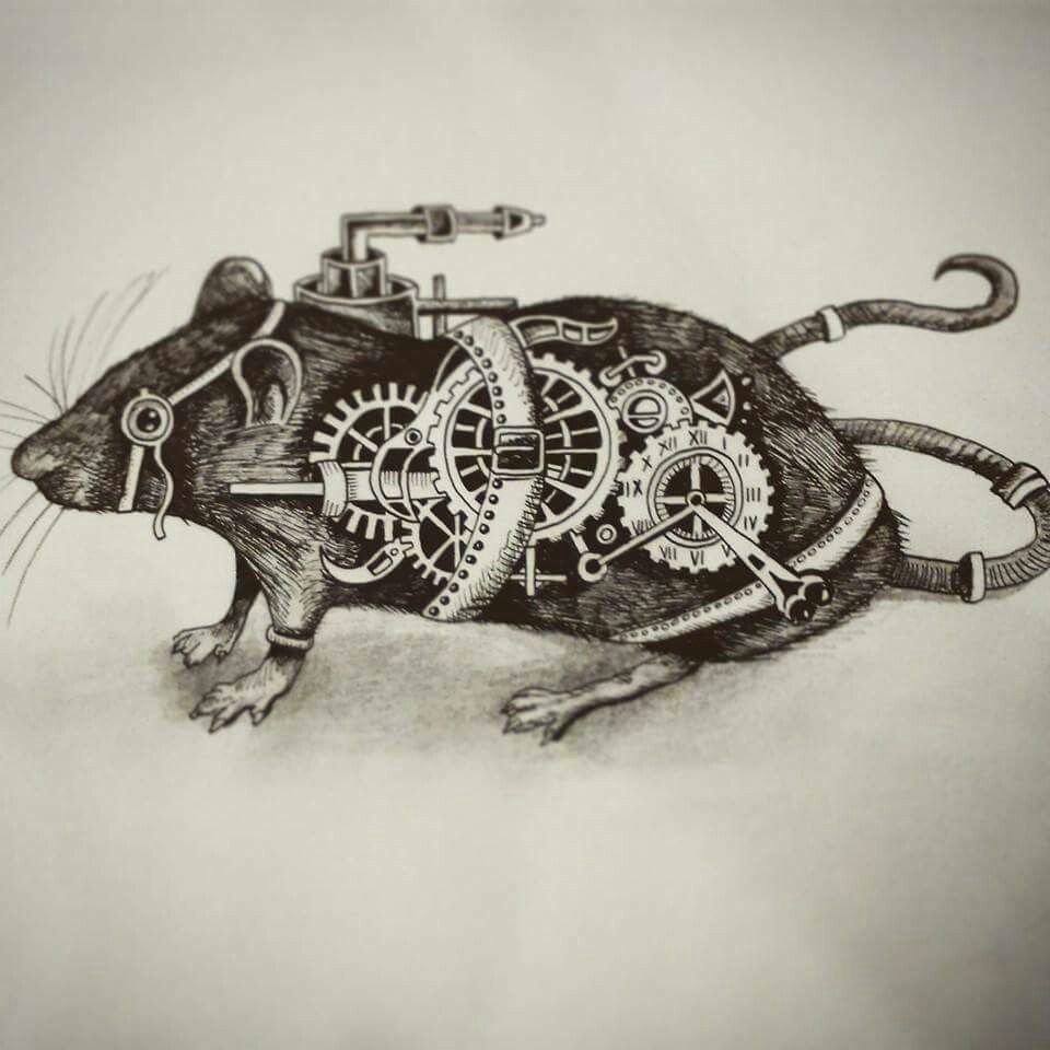 Картинки крыса злая