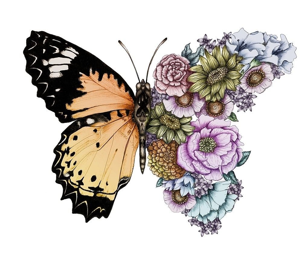 Бабочка тату эскиз
