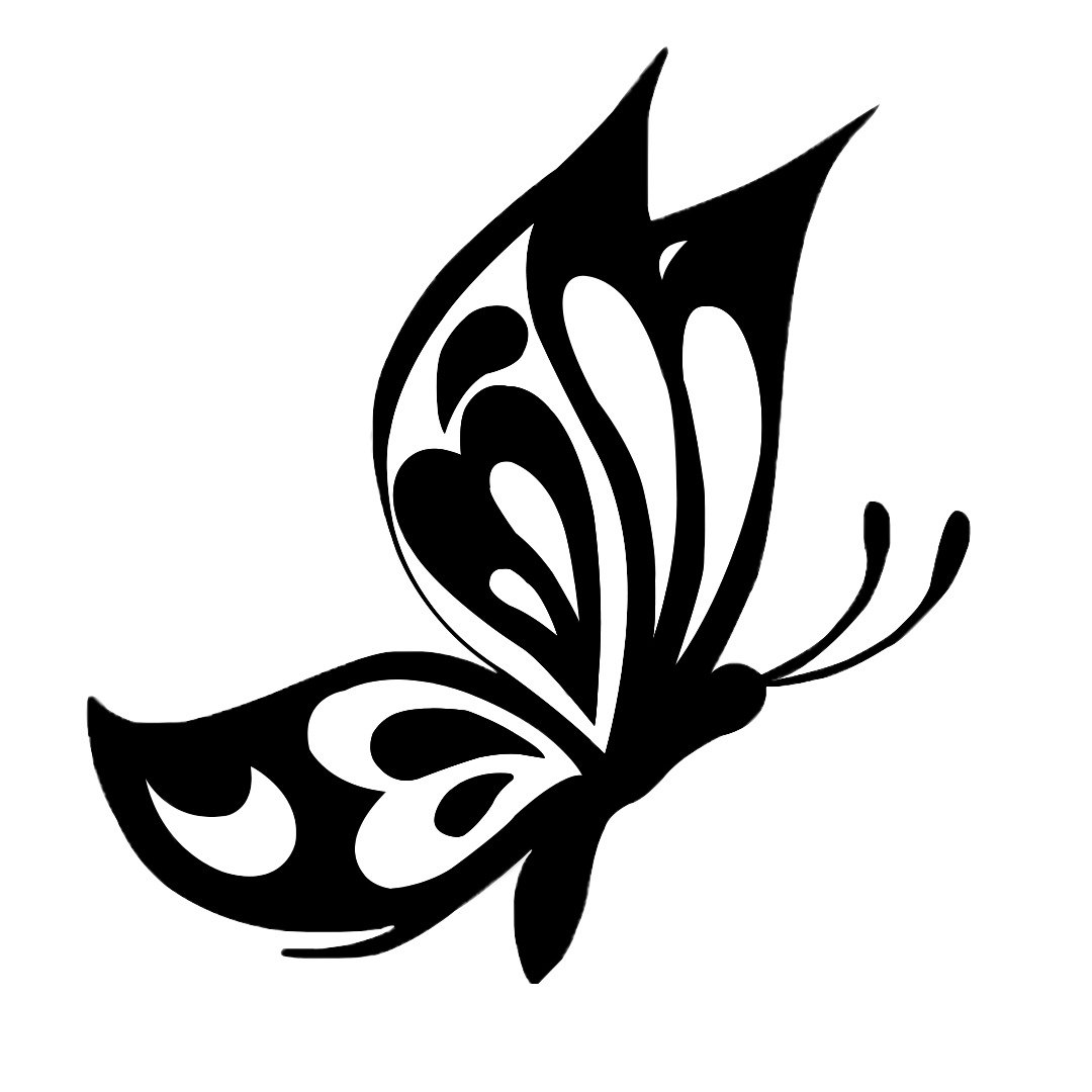 Трафарет бабочки на стену