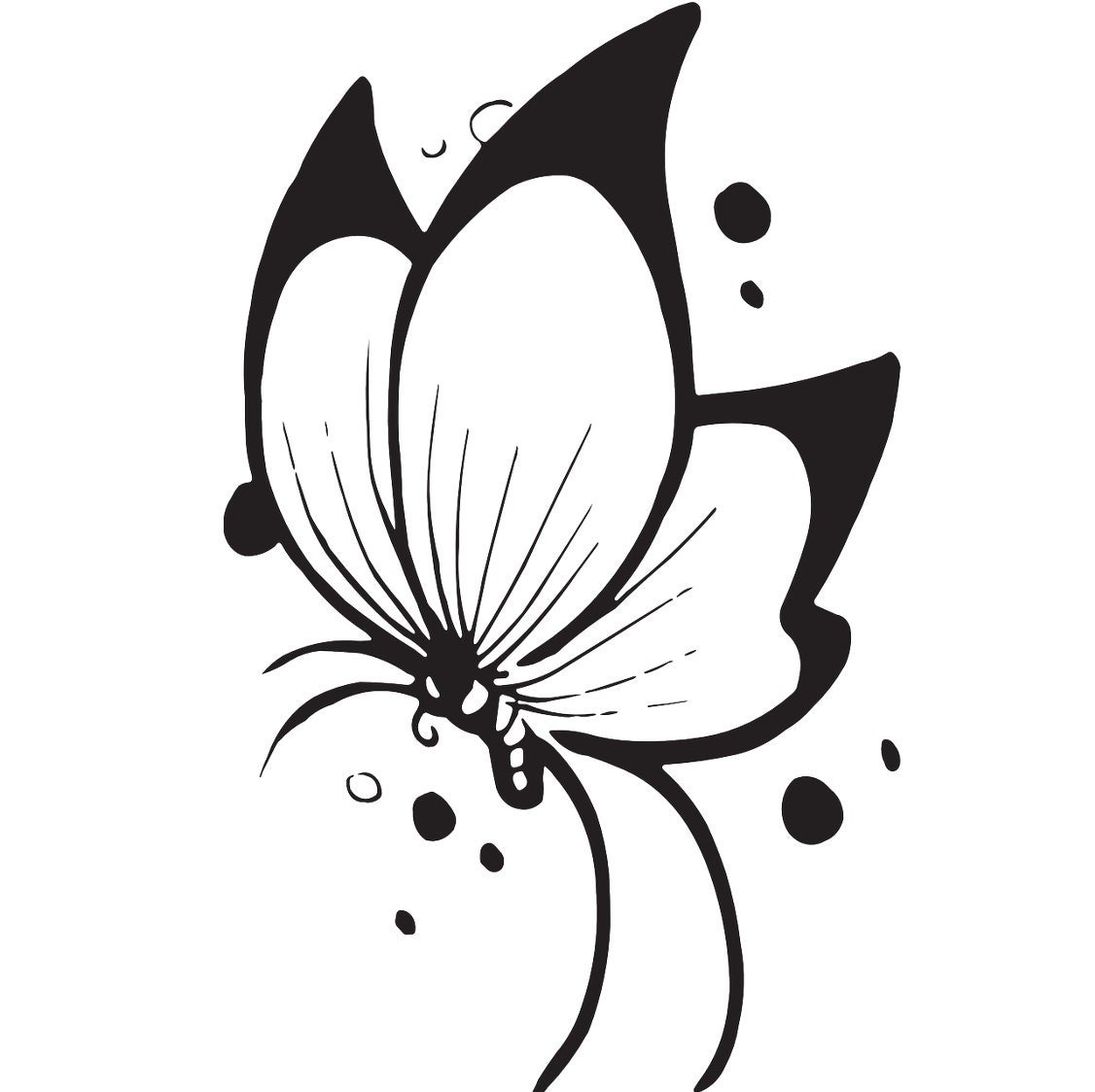 Бабочка черный контур