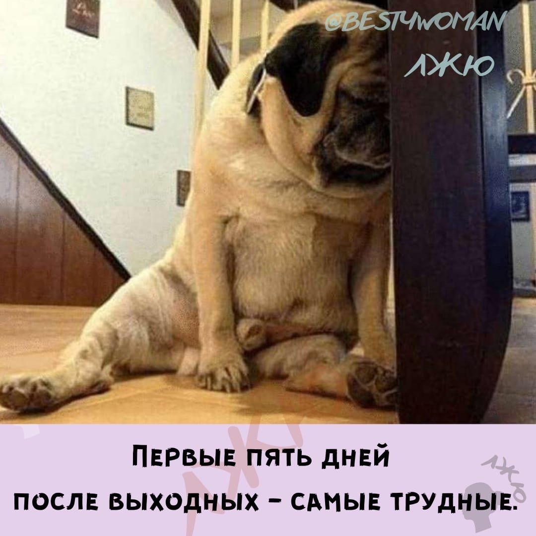 Приколы протусталость