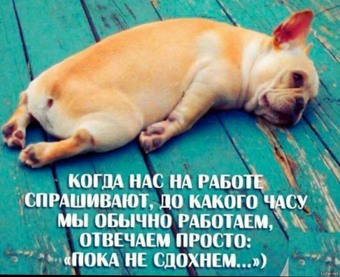 Картинки когда устал на работе