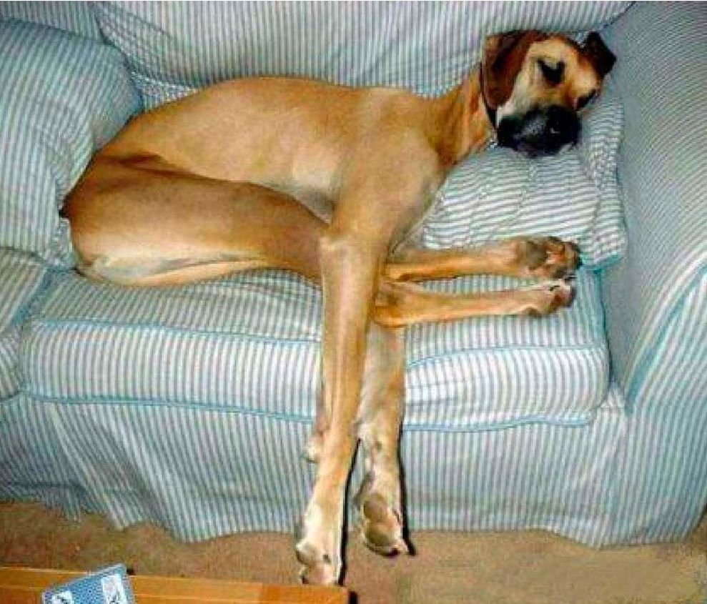 Устал картинка смешная