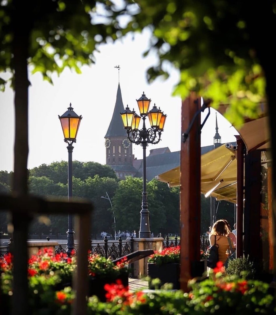 Калининград остров Канта каштаны