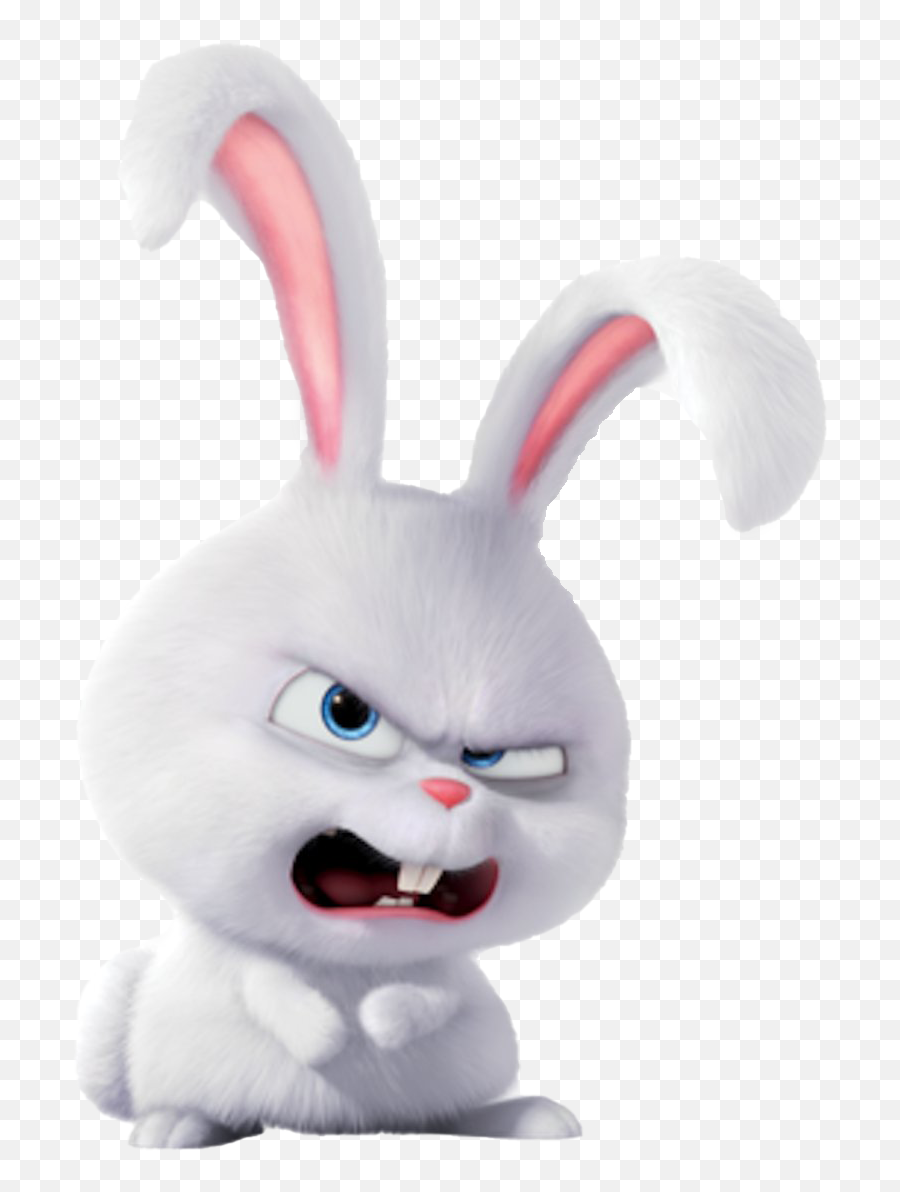 Злой заяц картинки прикольные