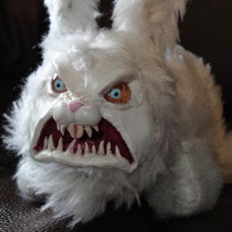 Североамериканский кролик Зануда