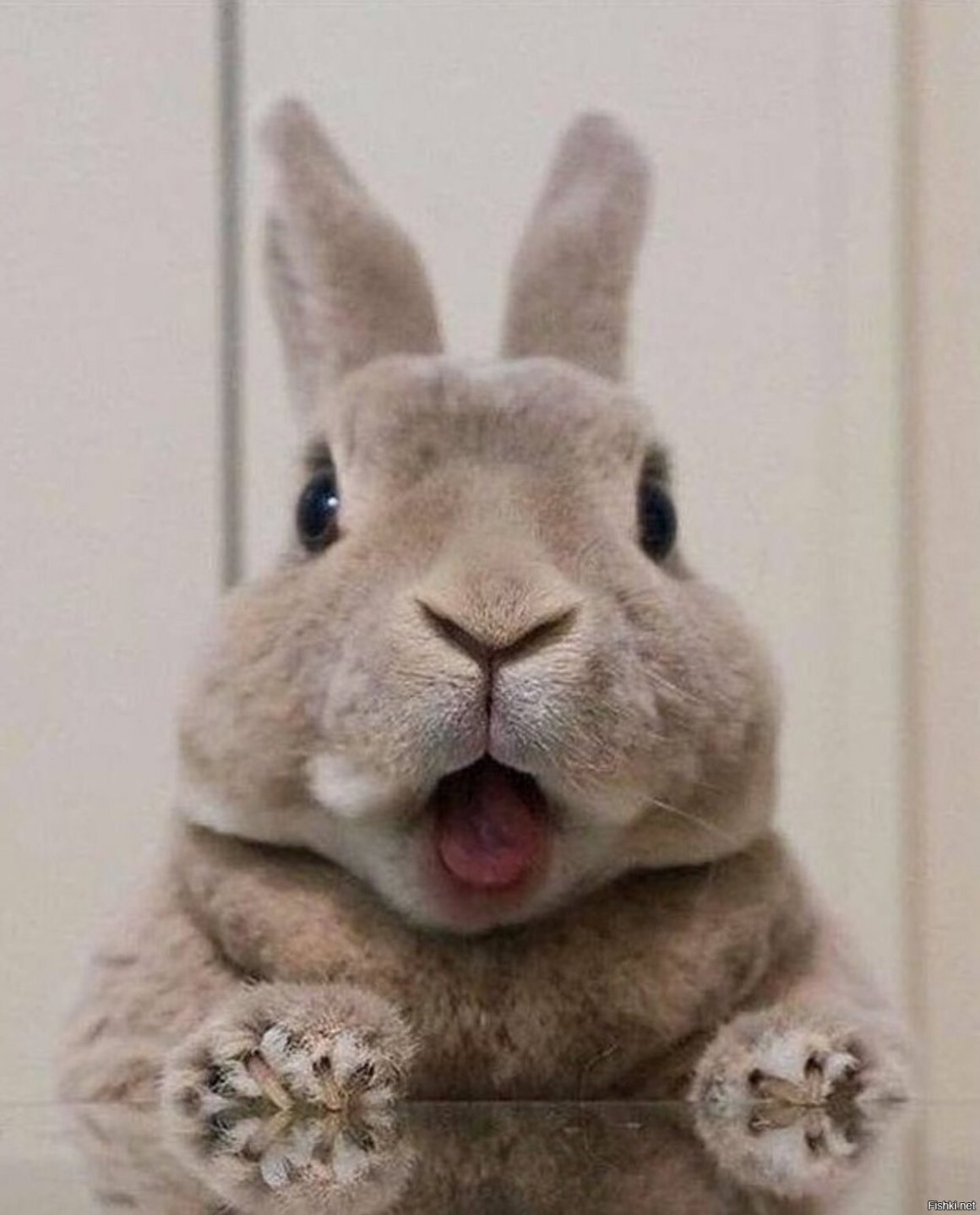 Стикеры прикольные с надписями