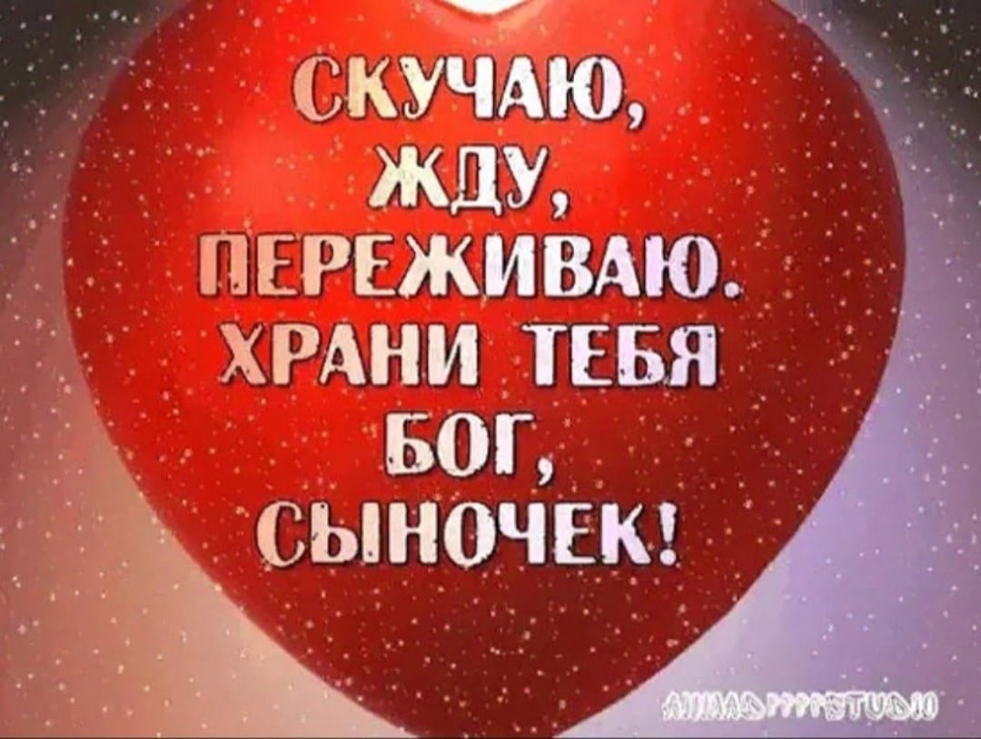 Мой любимый сынок