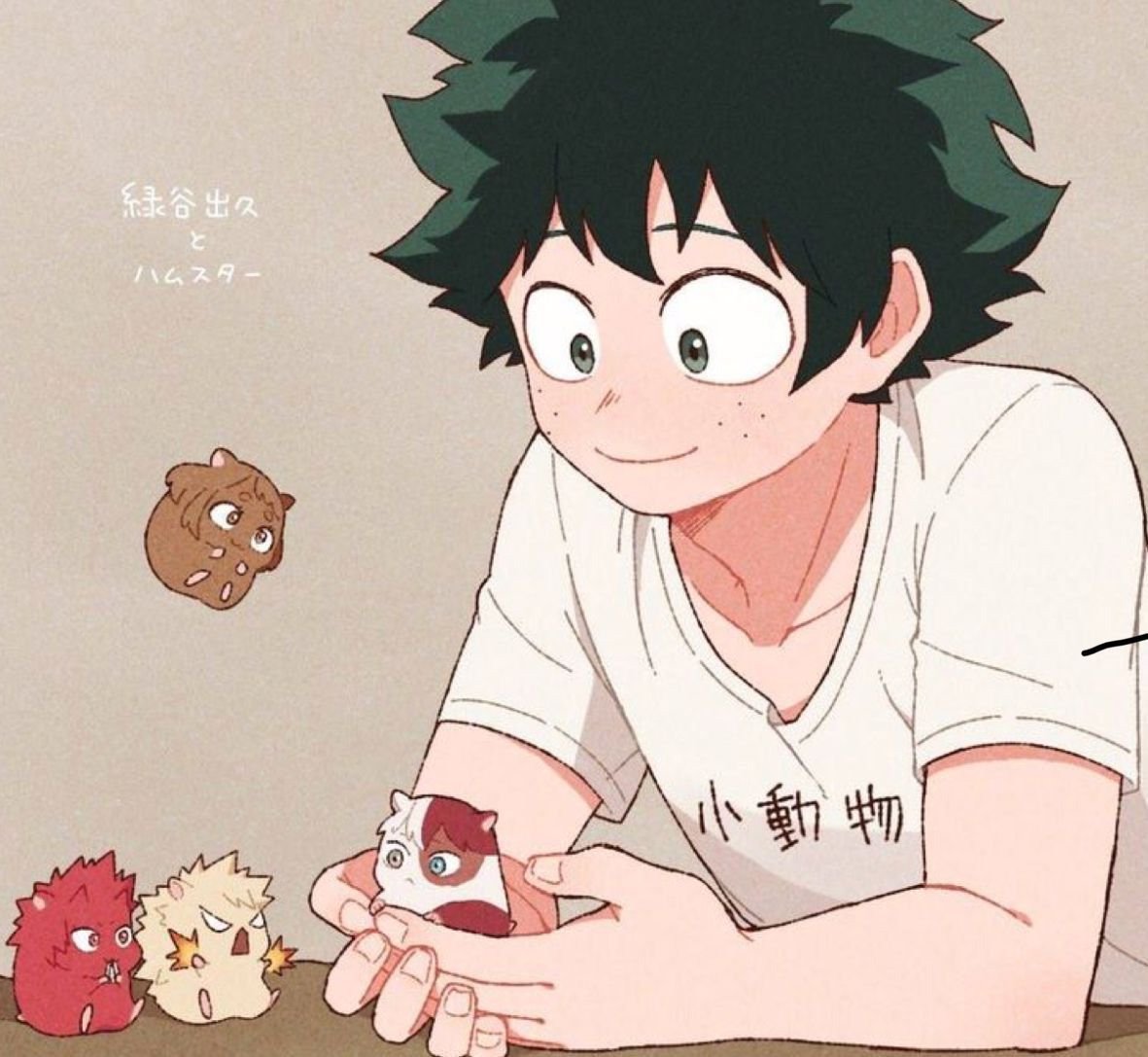 Мга Мидория