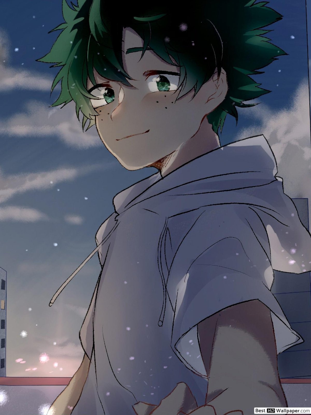 Мидория Изуку аниме