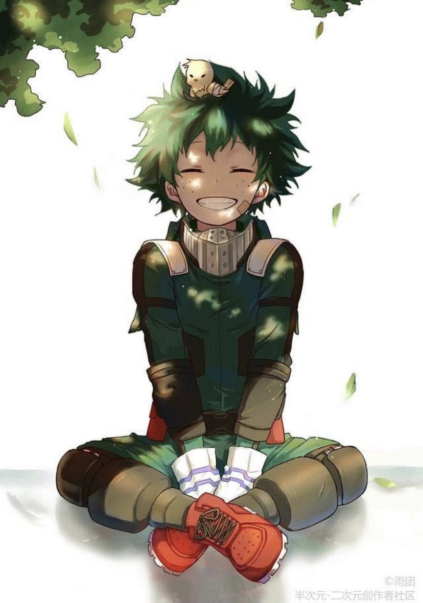 Геройская Академия Мидория