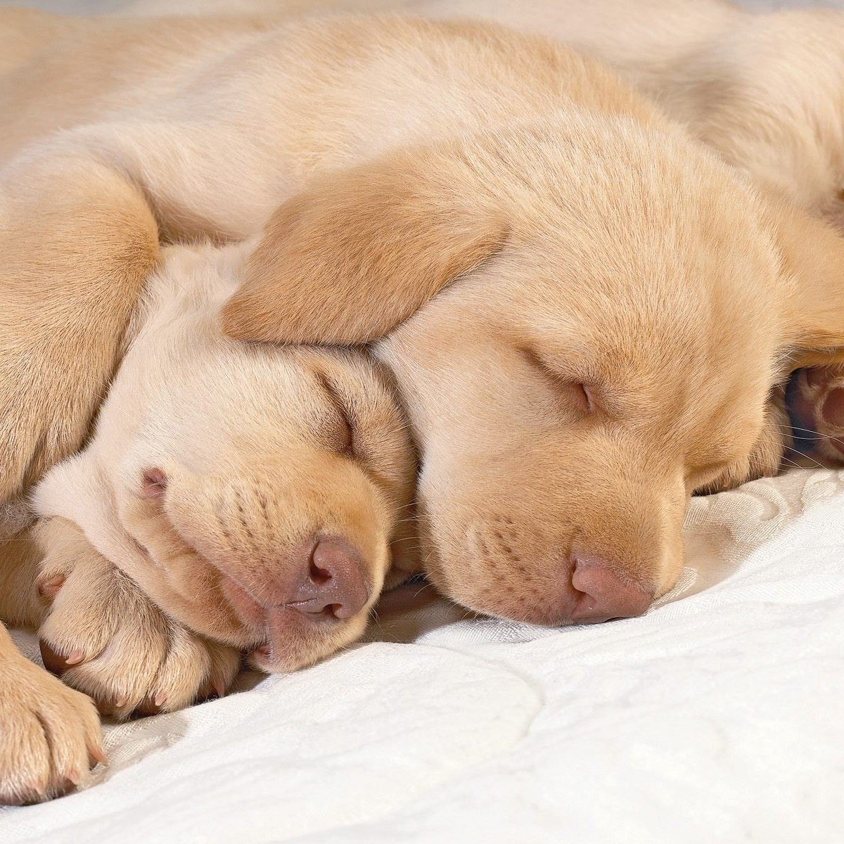 Твоя половинка