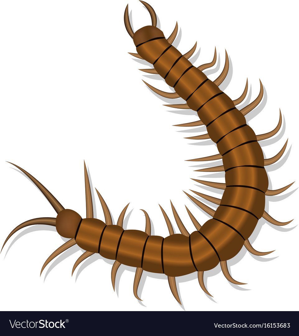 Гусеница для детей в детском саду