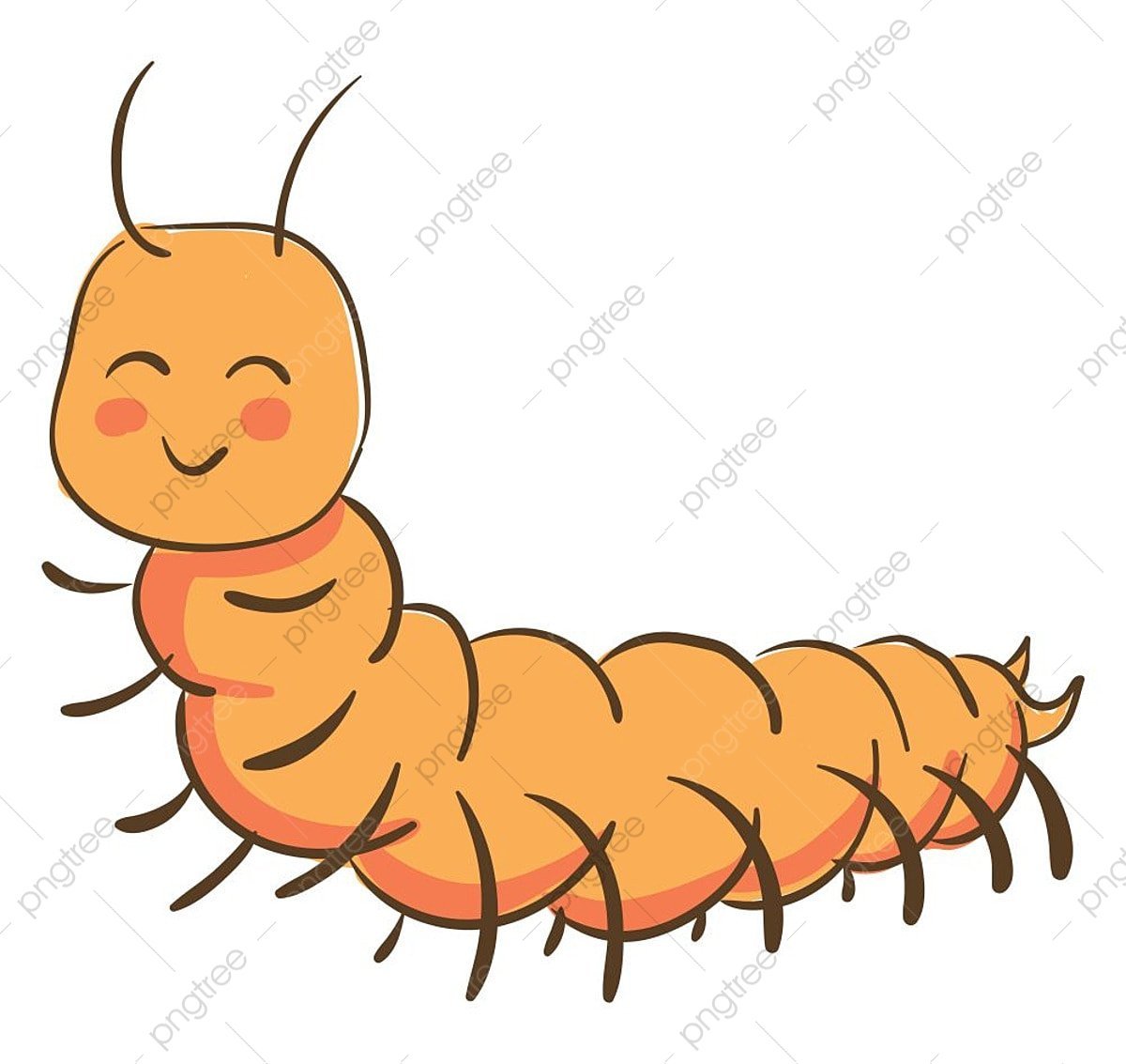 Сороконожка мультяшная