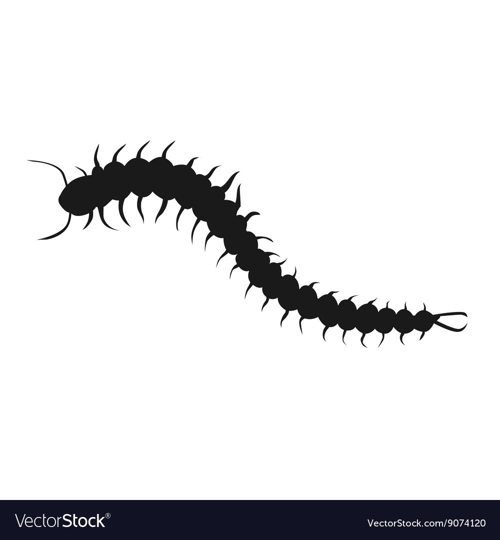 Вера Инбер сороконожки