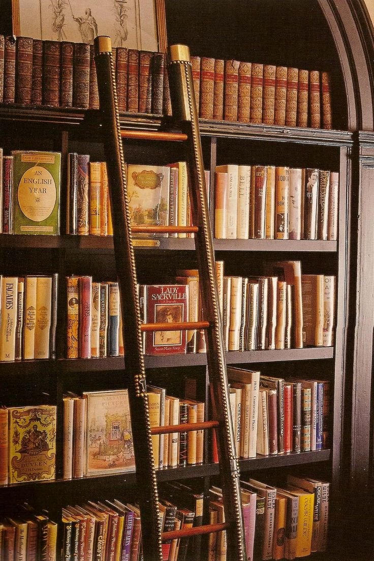 Книги на полке