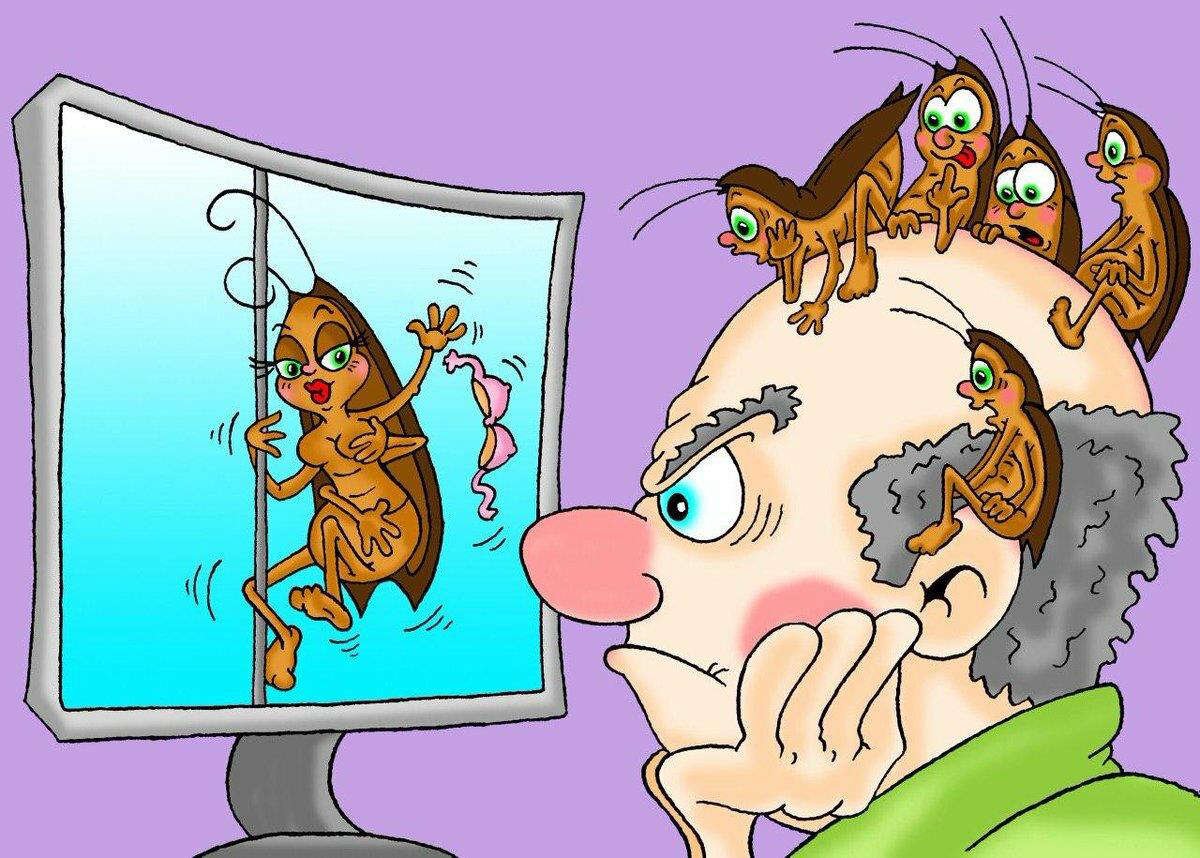 Тараканчики в голове