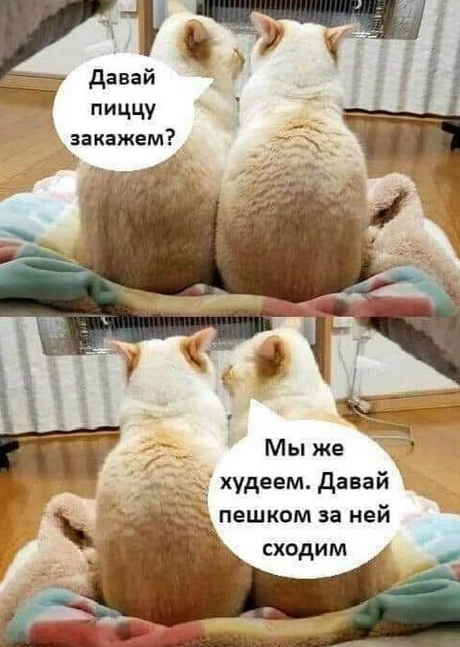 Доброе утро горы