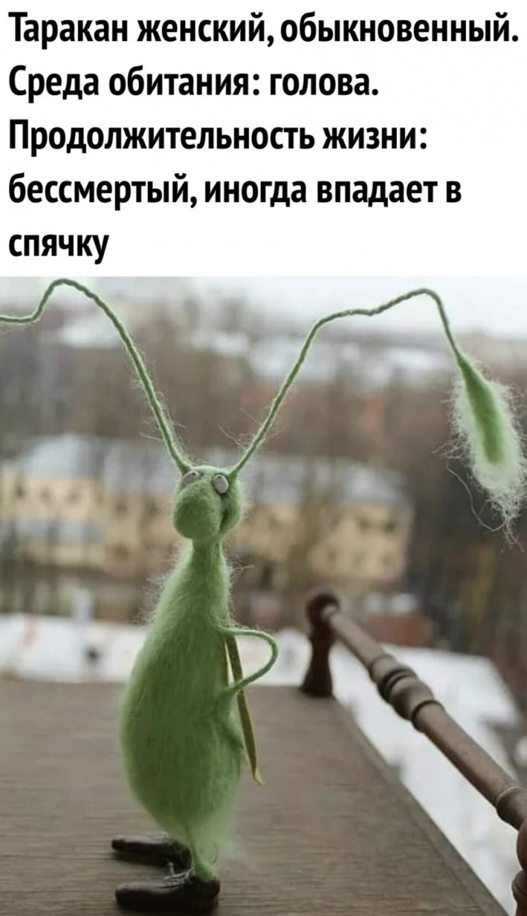 Женские таракашки