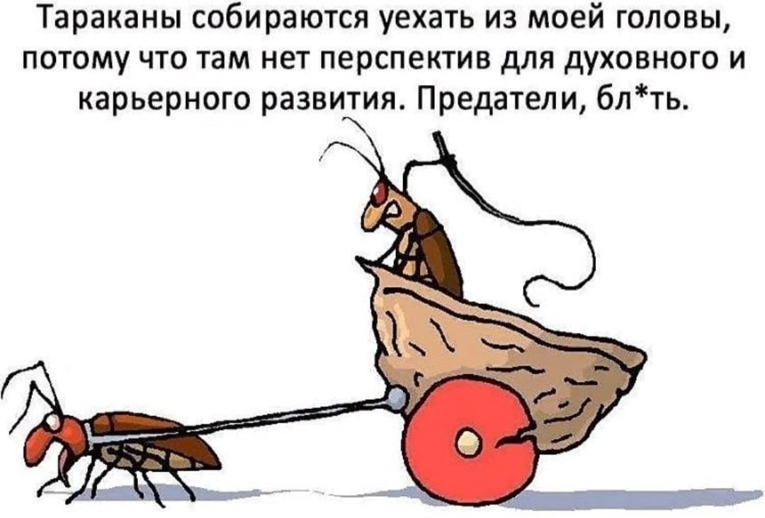 Тараканы в голове