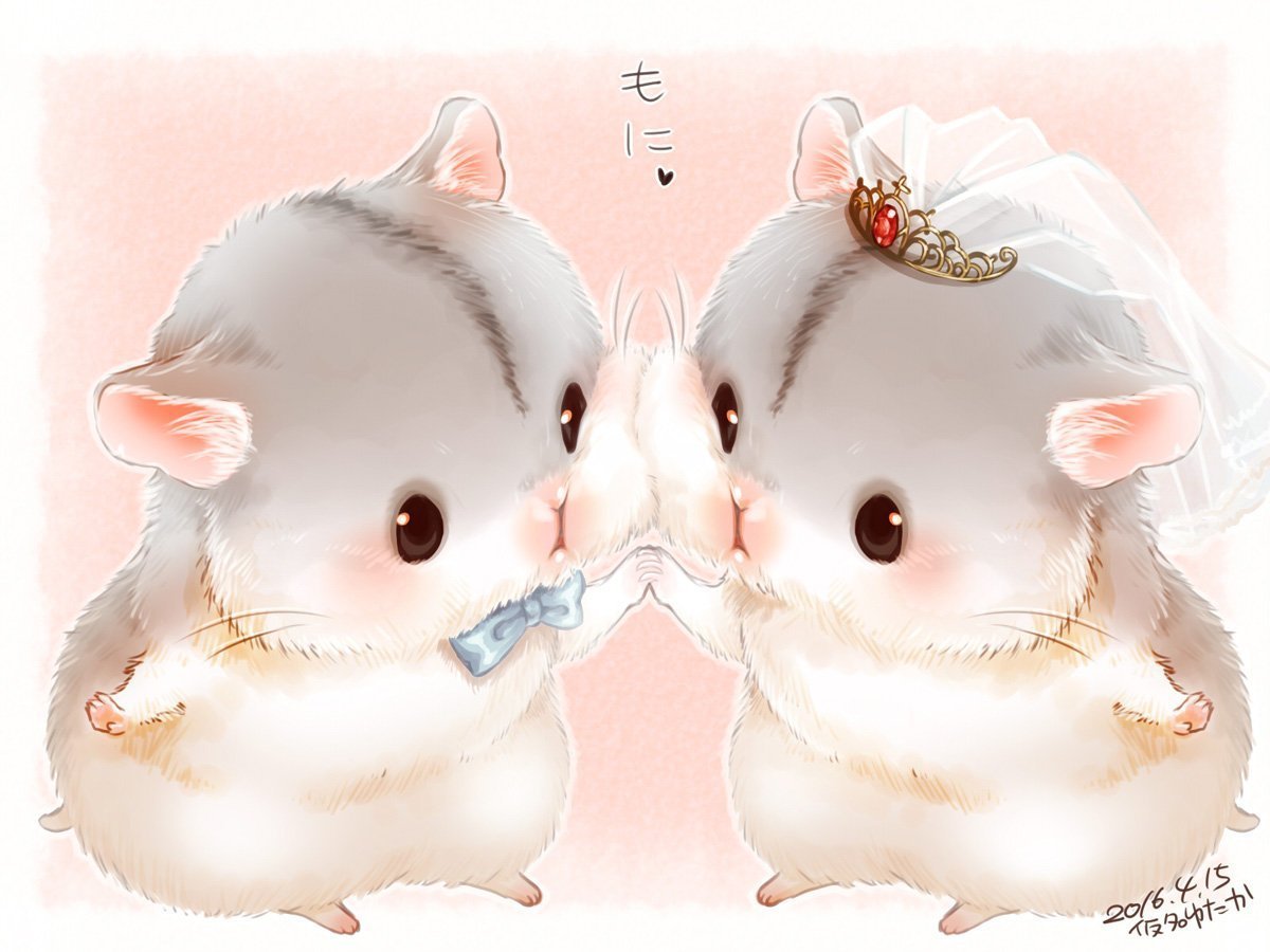 Самые милые хомяки