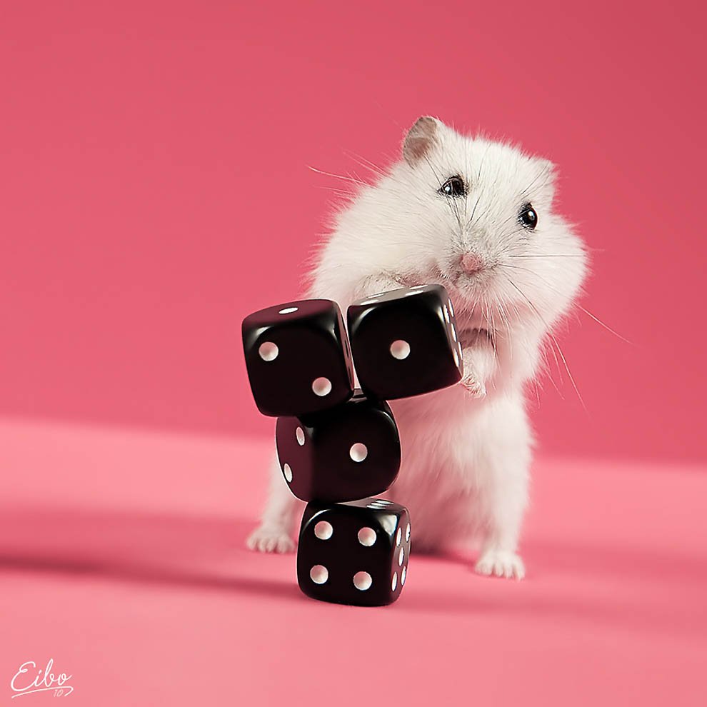 Милые хомяки