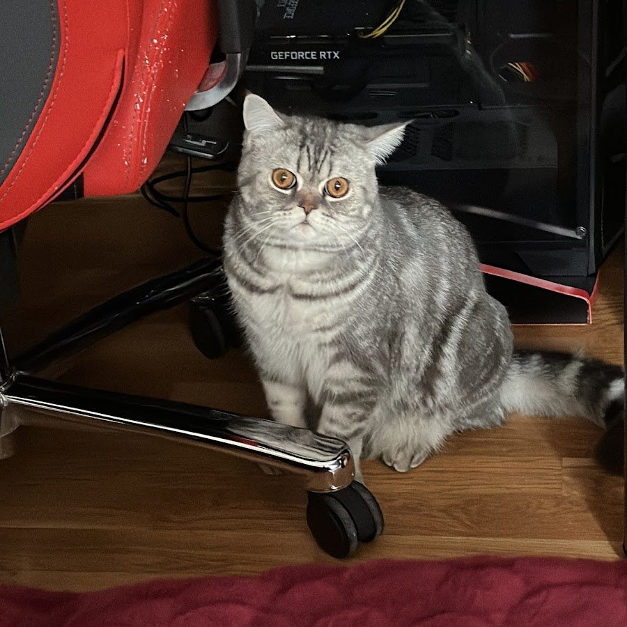 Хомячье удовольствие