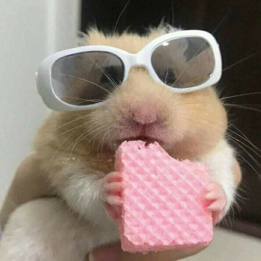 Хомяк Сеня Стикеры