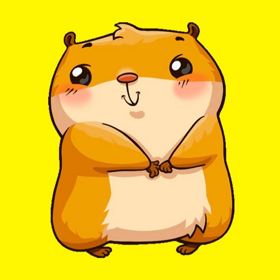 Морская Свинка маленькая