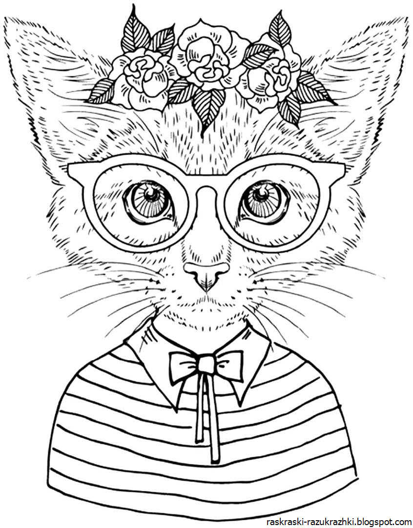 Раскраски антистресс кошки