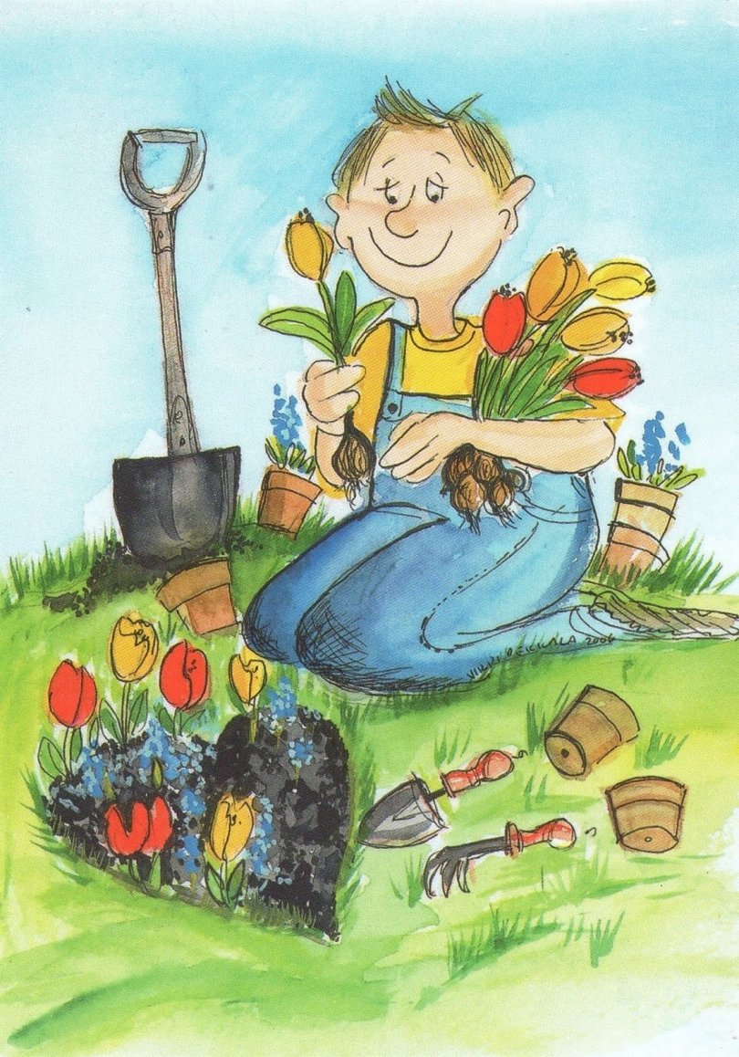 Дачник карикатура