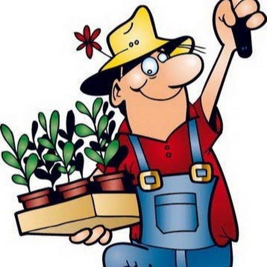 Огород смешно