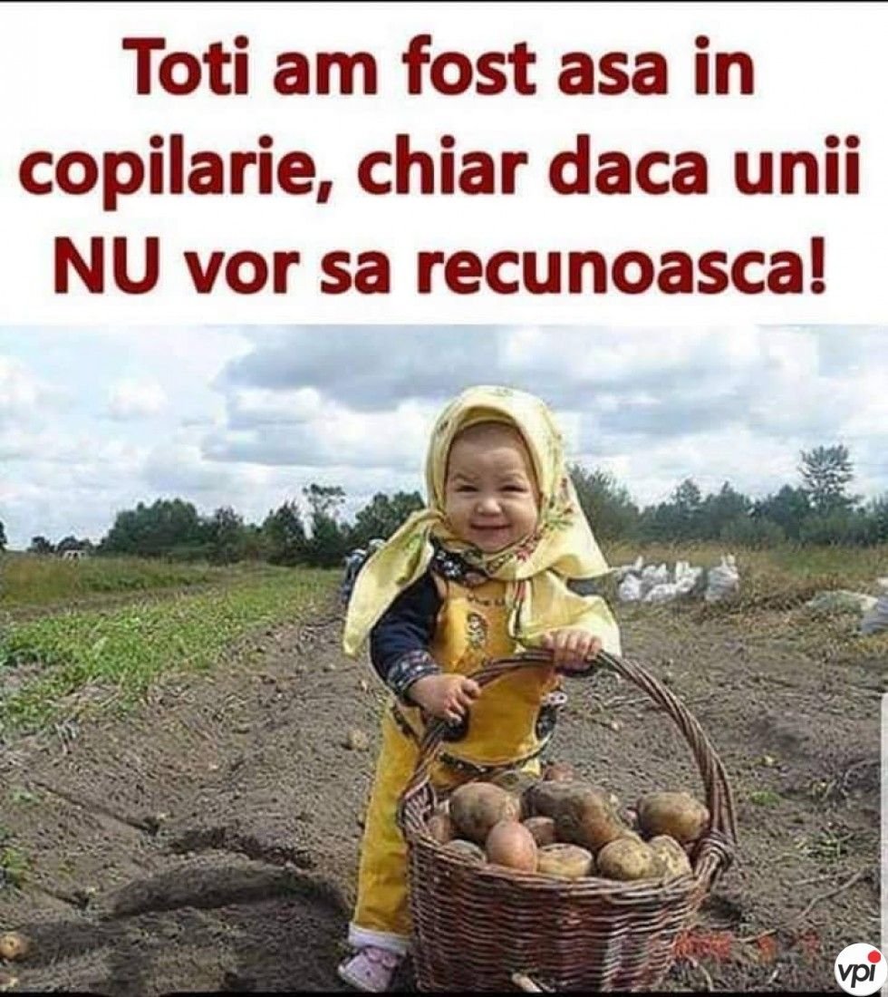 Ничего не знаю пора сажать картошку