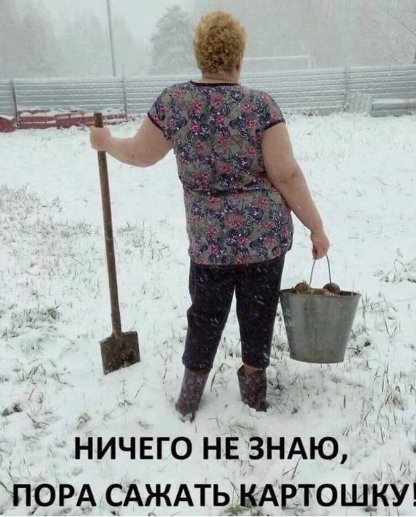 Про дачу и огород шутки