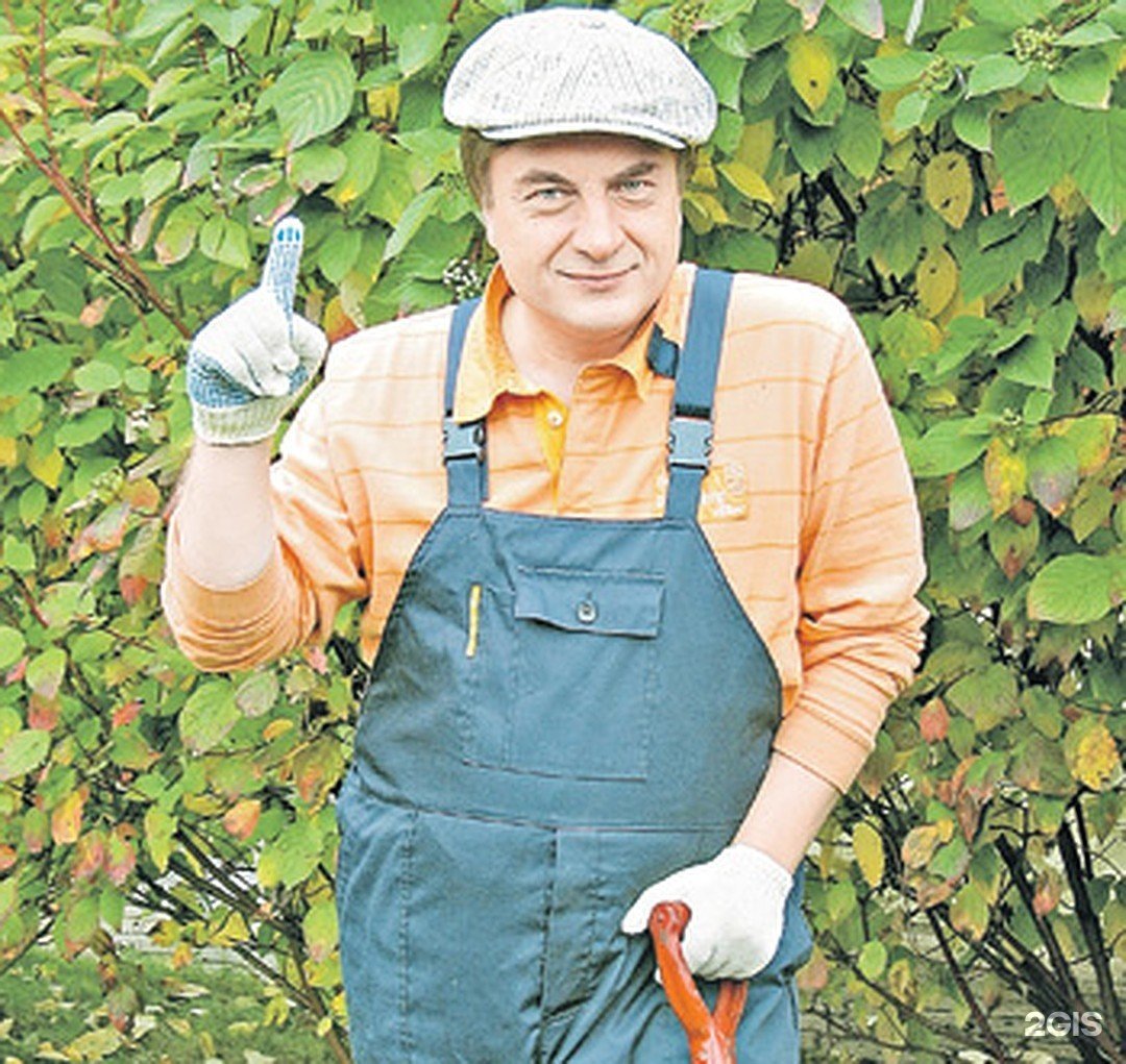 Карикатуры дача огород