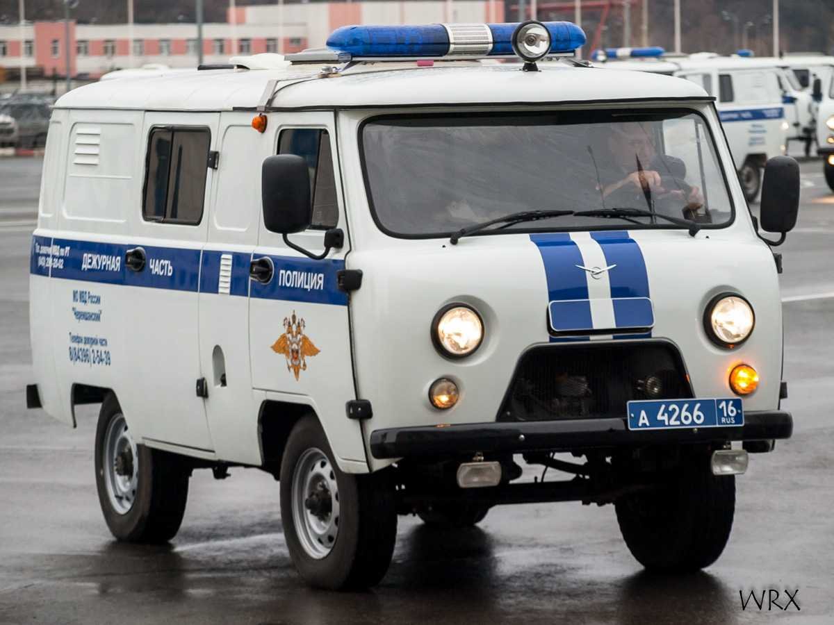 Сумасшедшие собаки