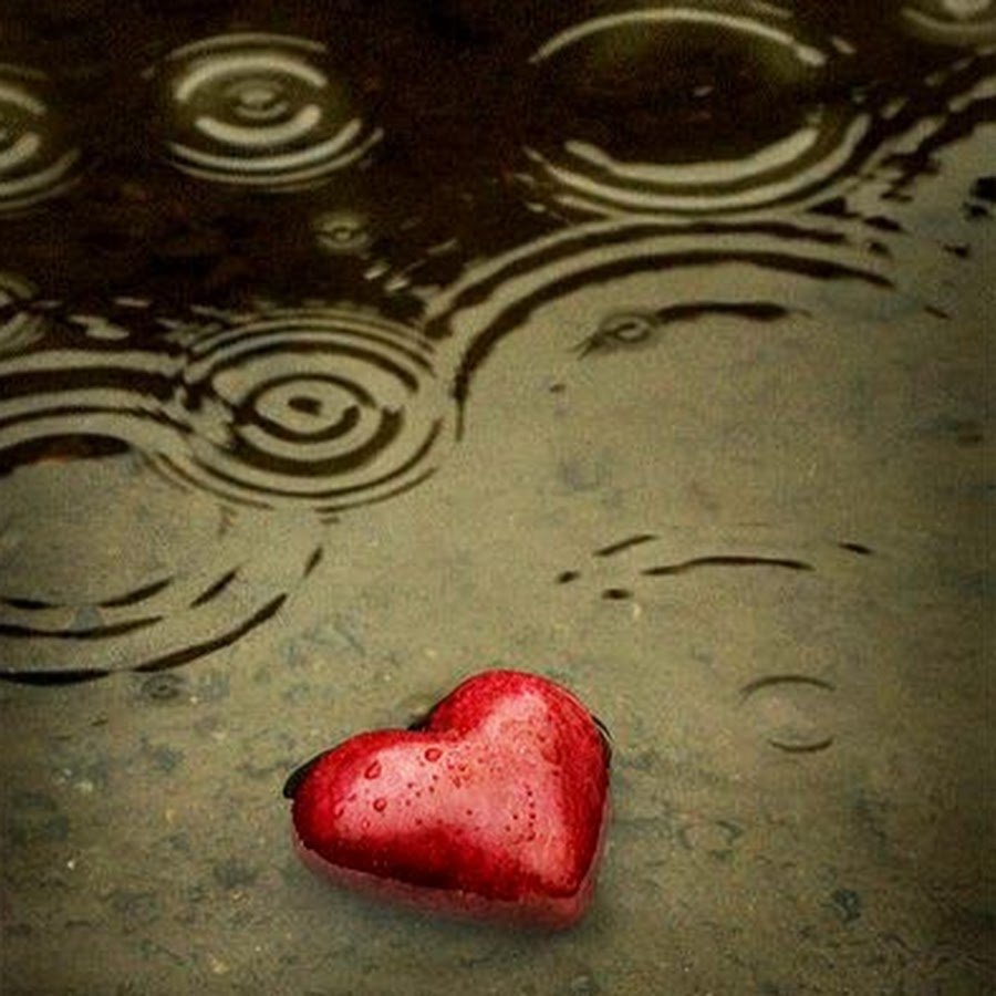 Сердце под дождем