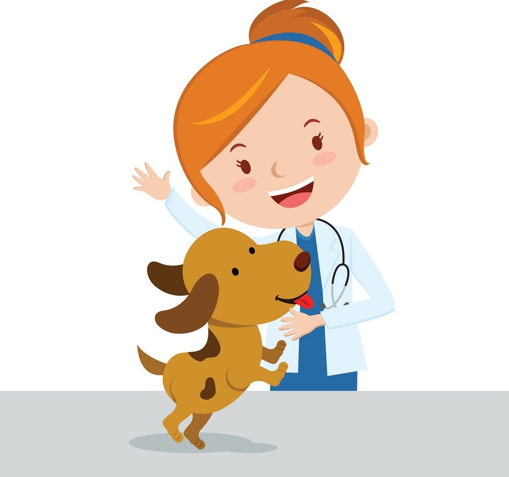 Ветеринар для детей