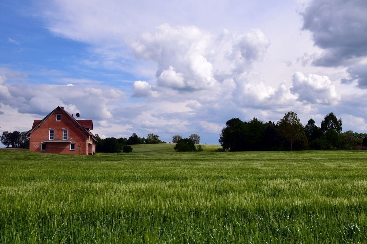 Фотографии земельного участка