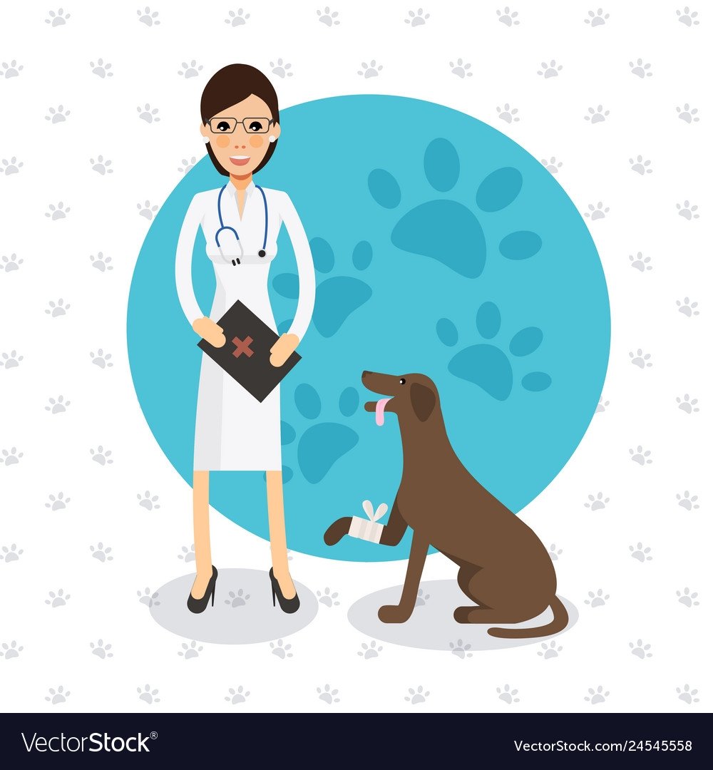 Ветеринария арт