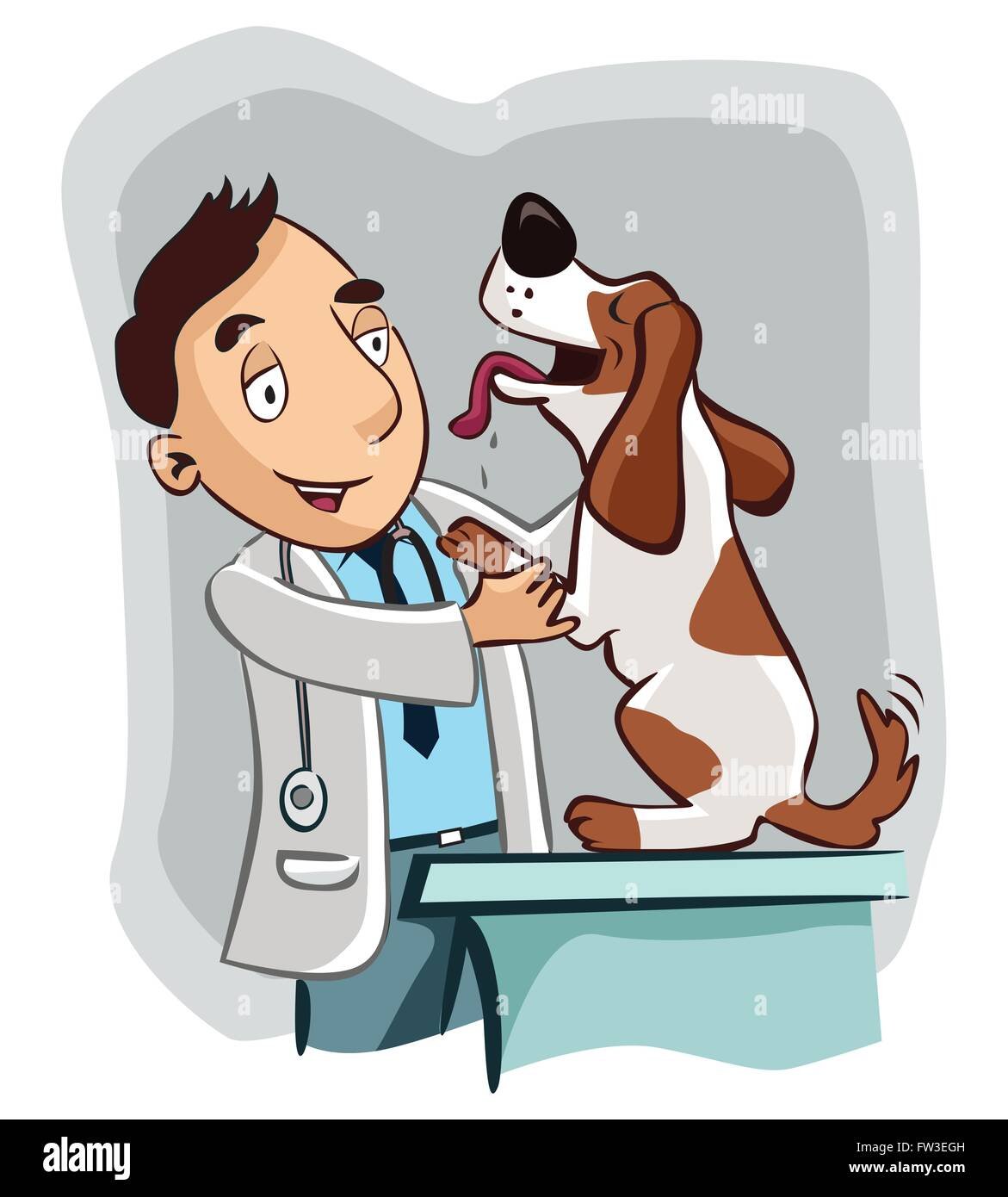 Ветеринар арты Эстетика