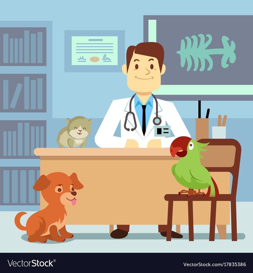 Ветеринарный врач мультяшный
