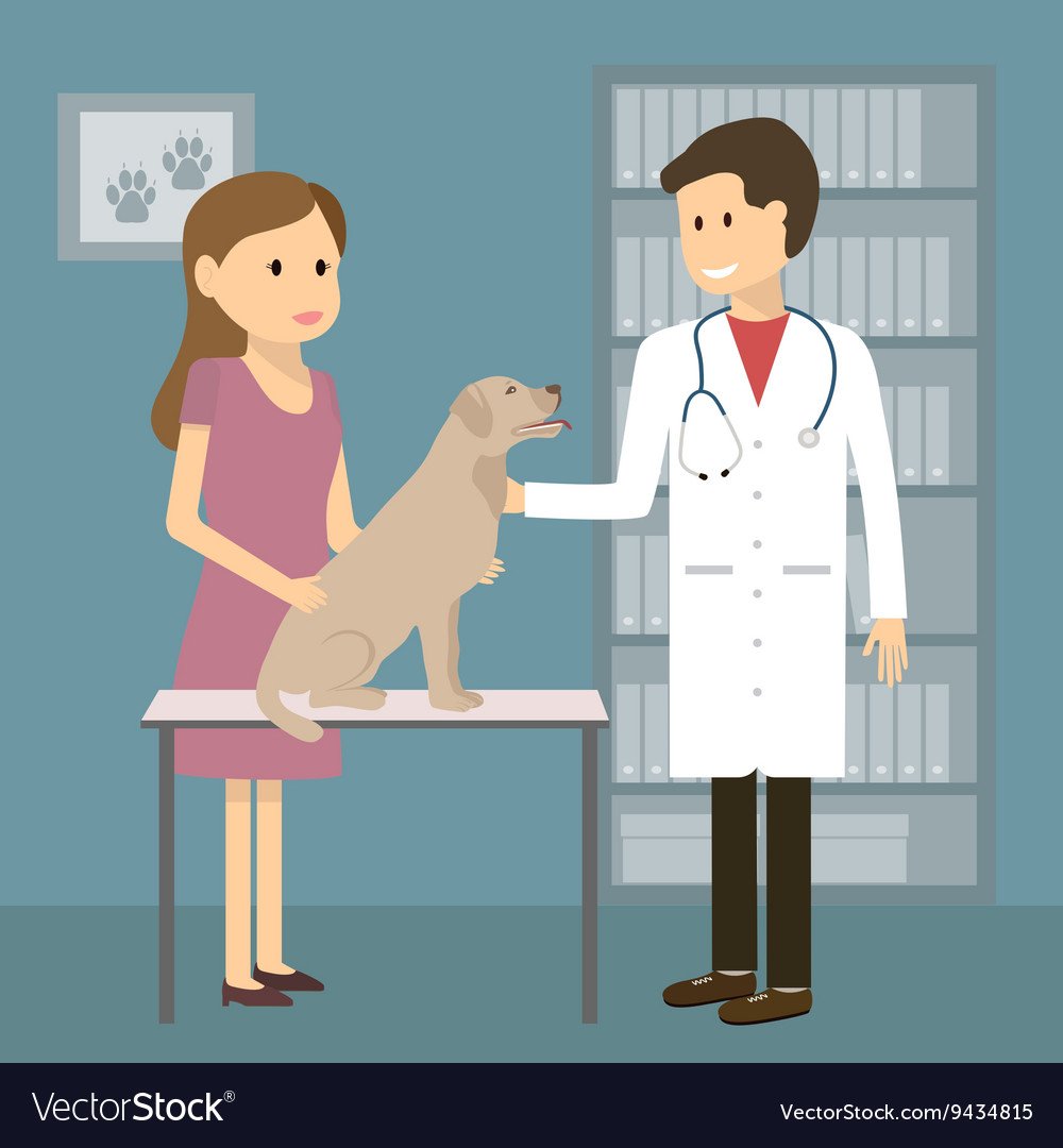 Ветеринар мультяшный