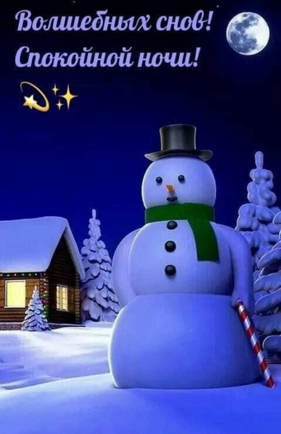 Снеговик ночью